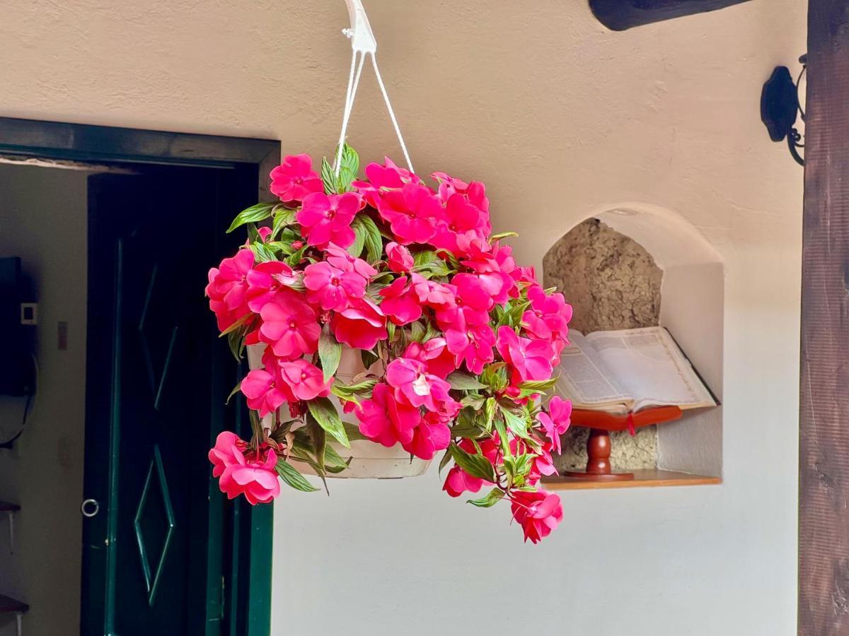 Hotel San Gabriel El Cocuy エクステリア 写真